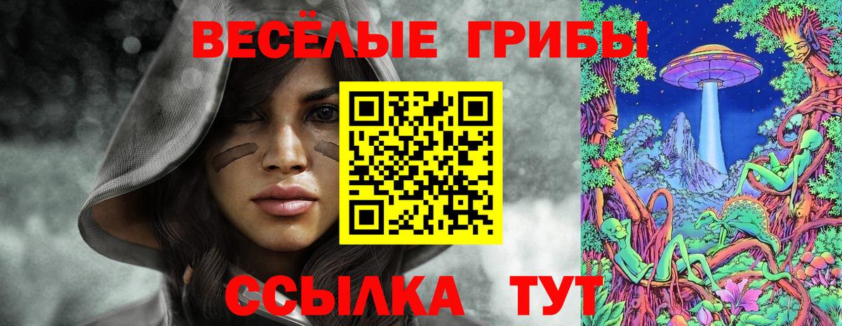 Галлюциногенные грибы MAGIC MUSHROOMS Абакан