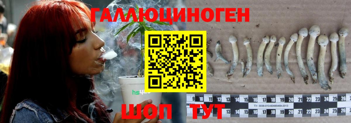 Псилоцибиновые грибы Magic Shrooms  Псилоцибиновые грибы Psilocybe  Вход с VPN  Абакан 